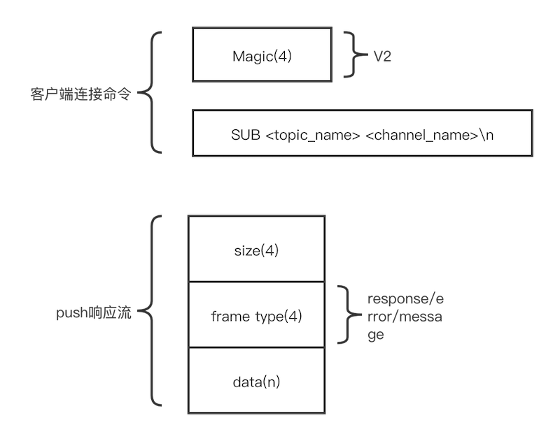 protocal